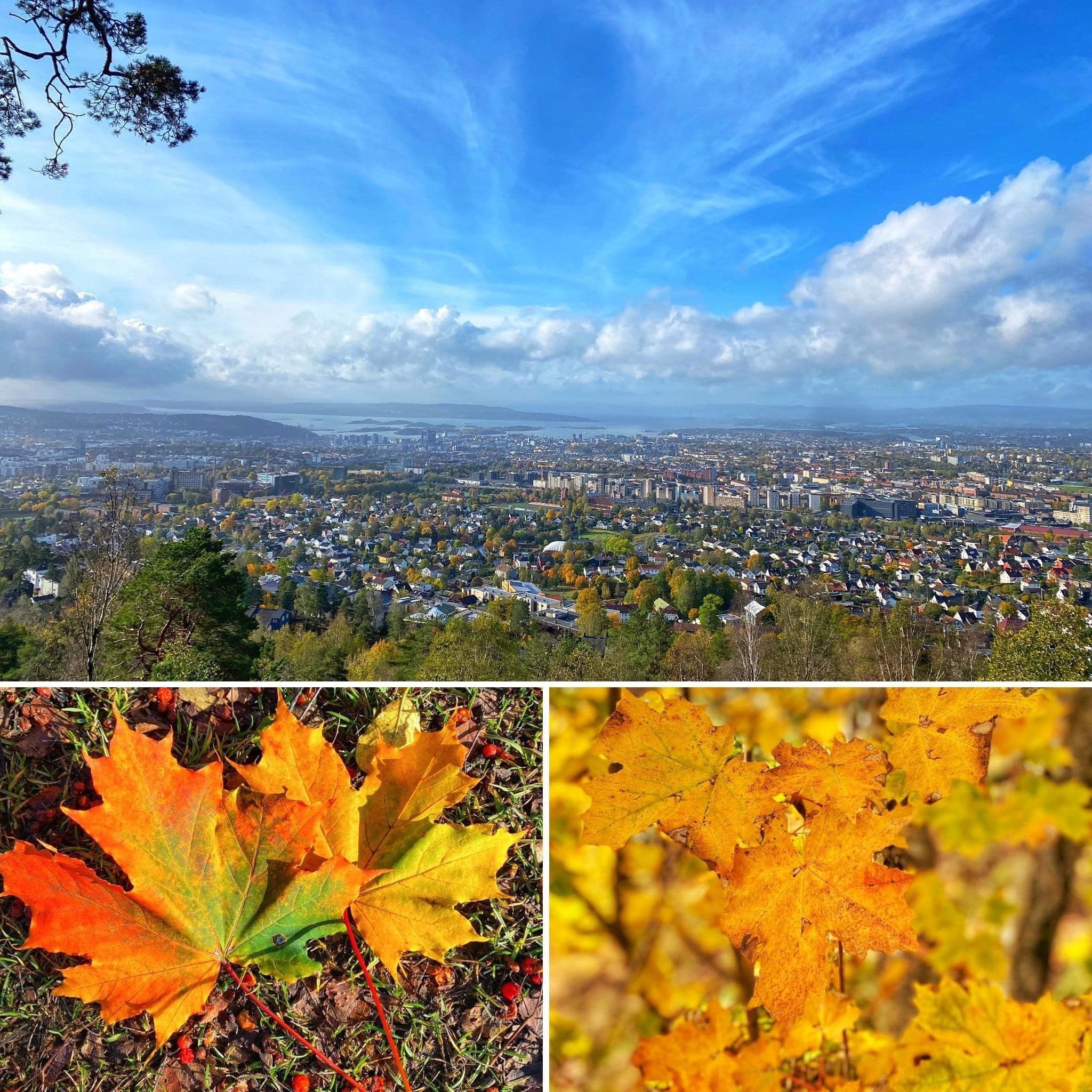 Oslo i høstfarger.